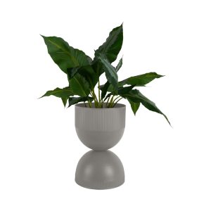 SAKSIJA PODNA  -  Plant Pot Tonar Medium