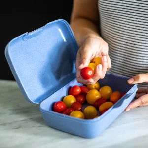 KUTIJA ZA UŽINU  -  Lunchbox CANDY L
