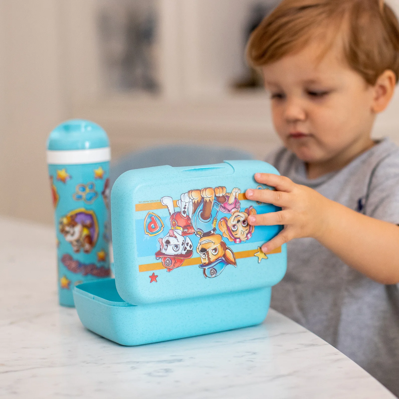 KUTIJA ZA UŽINU - Lunch box with separation tray CANDY L PAW PATROL
