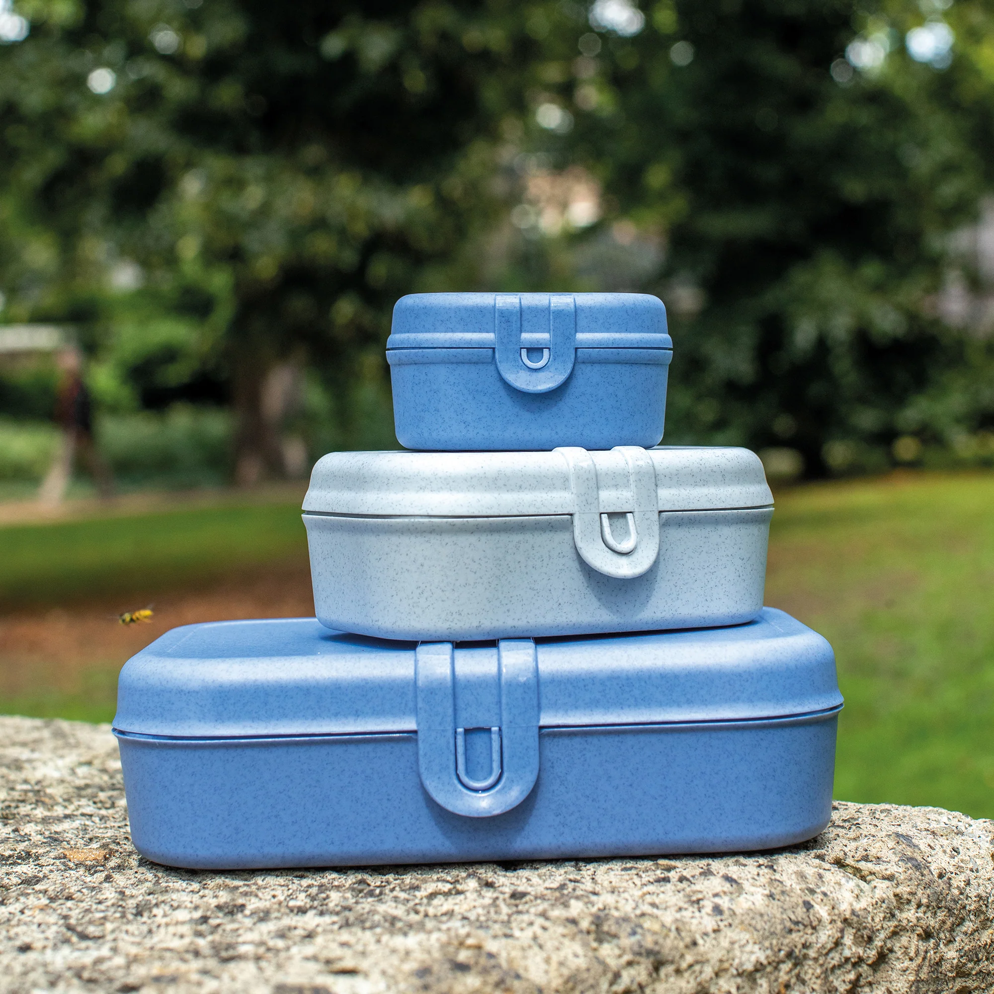 KUTIJA ZA UŽINU - Lunchbox PASCAL L - Slika 2