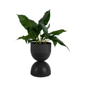 SAKSIJA PODNA   -  Plant Pot Tonar Medium