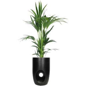 SAKSIJA ZA CVEĆE  -  Planter Fine Earthenware Black 22x22x34.2cm